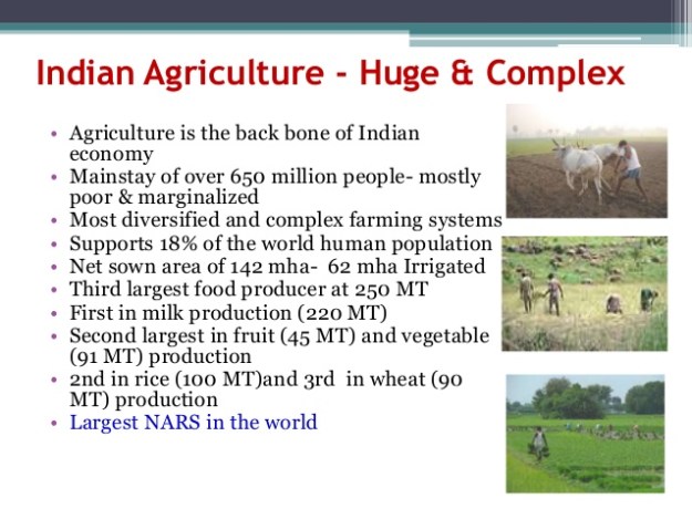 Indian Agriculture is Huge