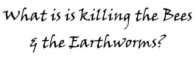 What is is killing the Bees & Earthworms? - Chemical Fertilisers-- How can you grow more crops when you are killing all kinds of life form that farming needs?..and then eat that poison through your food... and get cancer!!! Green Revolution = Cancer Revolution.
