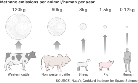 Methane generated by animals
