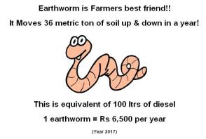 Earthworm - farmers friend