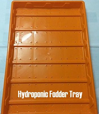 Hydroponic Fodder Tray