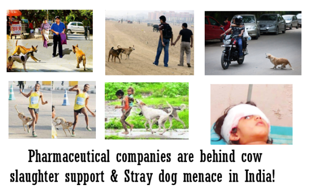 Pharma cos behind cow slaughter support & Stray dog menace